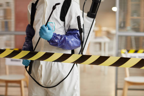 Professional Odor Removal technician working in Somerville, TX